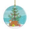 NEW European Shorthair Cat Christmas Ceramic Ornament Christmas Tree Hanging Decorations for Home Christmas Holiday, Party, Gift, 3 in, Multicolor