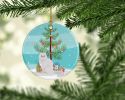 NEW Chinchilla Persian Longhair Cat Christmas Ceramic Ornament Christmas Tree Hanging Decorations for Home Christmas Holiday, Party, Gift, 3 in