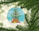 NEW European Shorthair Cat Christmas Ceramic Ornament Christmas Tree Hanging Decorations for Home Christmas Holiday, Party, Gift, 3 in, Multicolor