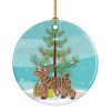 NEW Pixie Bob Cat Christmas Ceramic Ornament Christmas Tree Hanging Decorations for Home Christmas Holiday, Party, Gift, 3 in, Multicolor