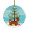 NEW Somali Cat Christmas Ceramic Ornament Christmas Tree Hanging Decorations for Home Christmas Holiday, Party, Gift, 3 in, Multicolor